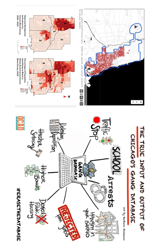 THE TRUE INPUT AND OUTPUT OF  CHICAGO0’S GANG DATABASE  "t by Barbara Galeano  OCAD H#ERASETHEDATABASE 